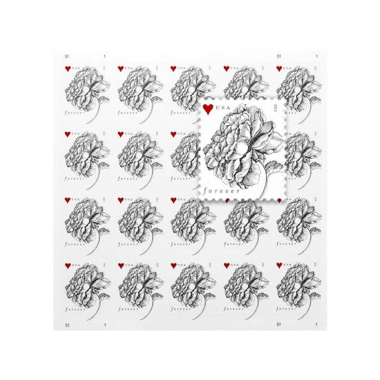 2015 Vintage Rose Wedding Forever Postage Stamps - 5 Sheets of 20 ( 100 Total Stamps )