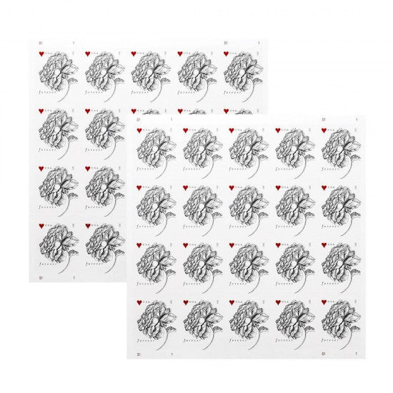 2015 Vintage Rose Wedding Forever Postage Stamps - 5 Sheets of 20 ( 100 Total Stamps )